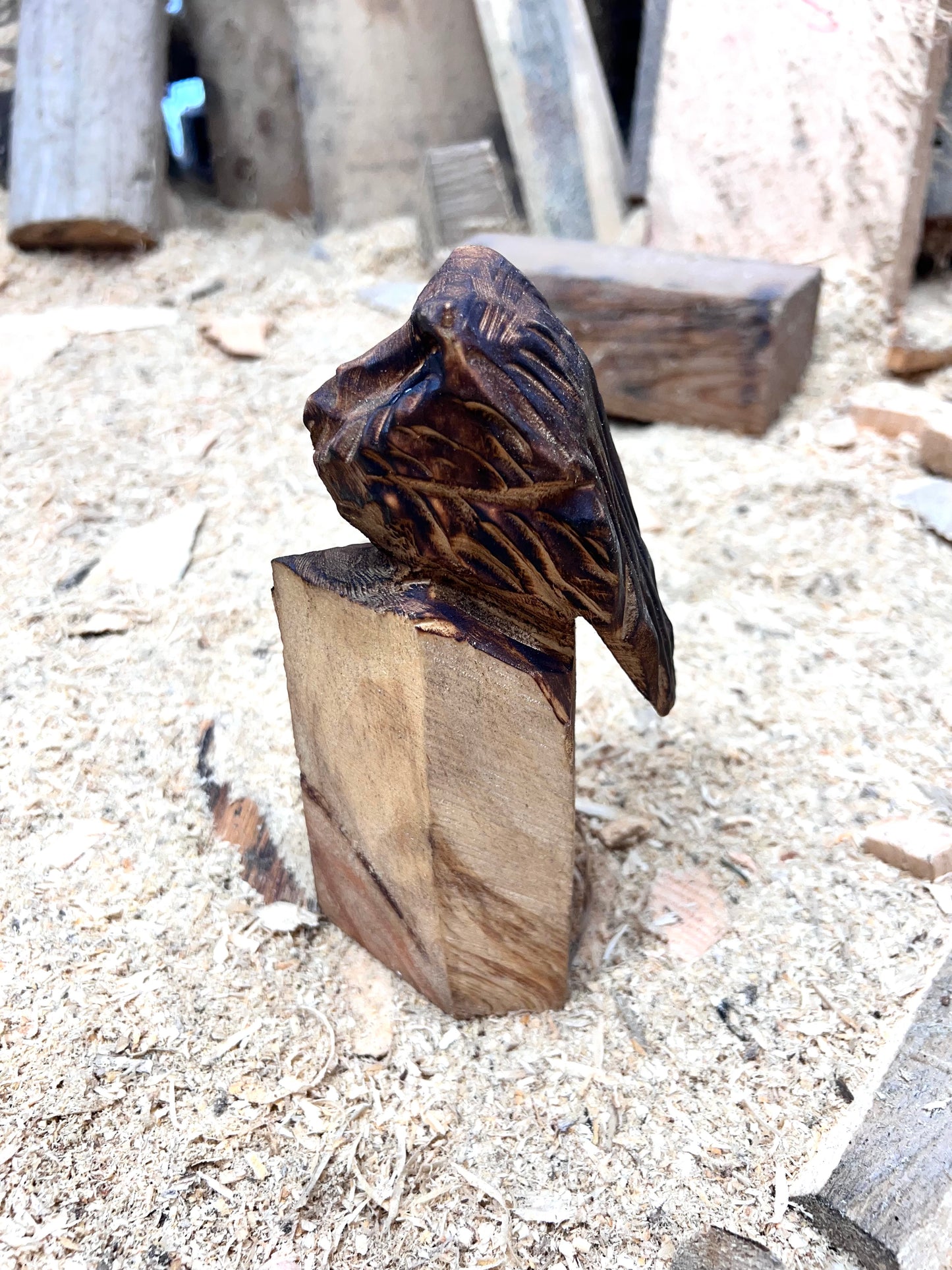 Little carved Owl