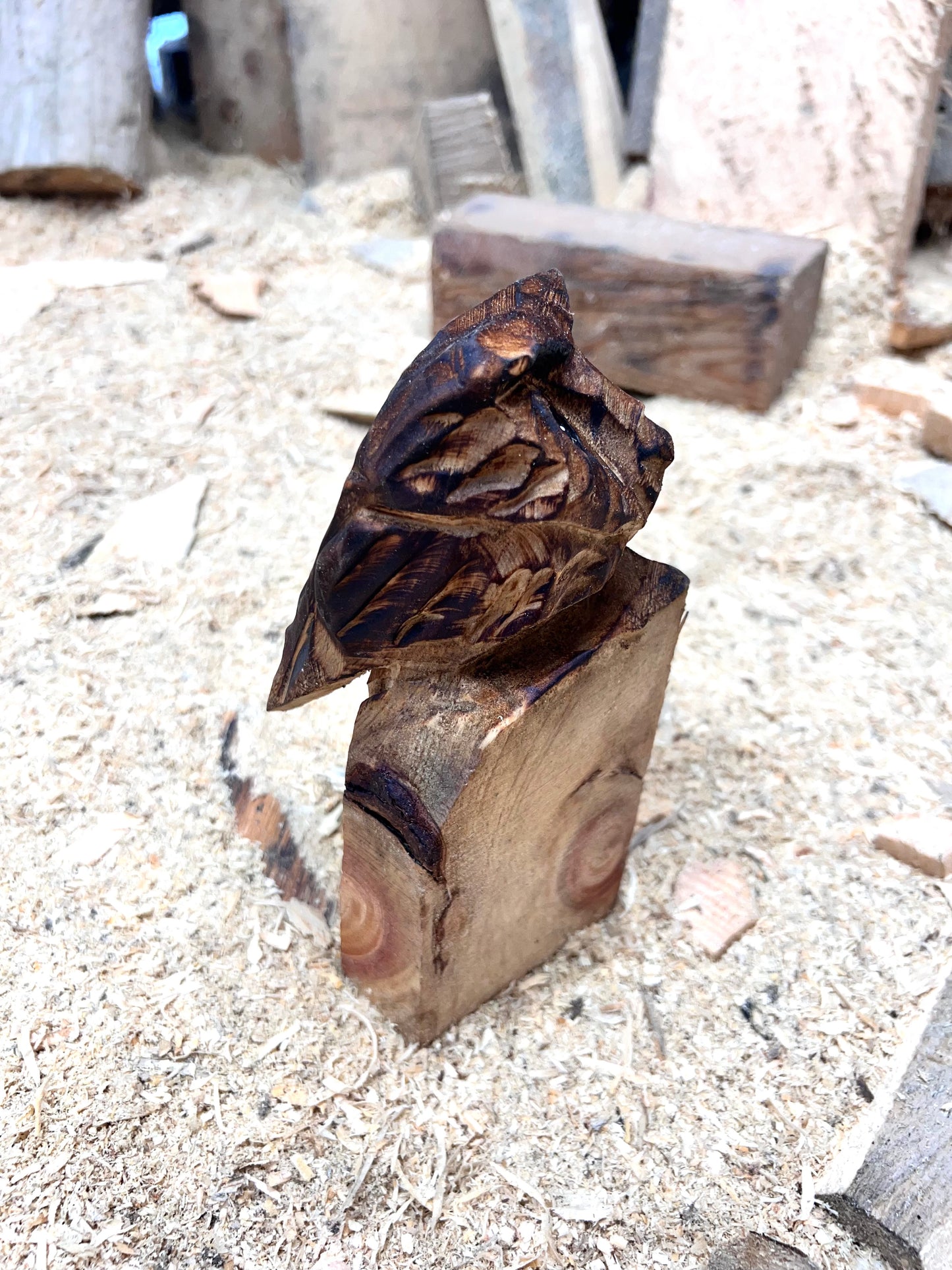 Little carved Owl