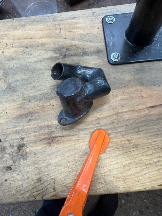 “The Noisy Cricket “