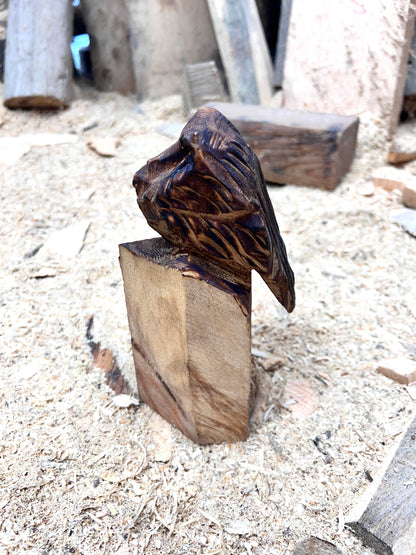 Little carved Owl